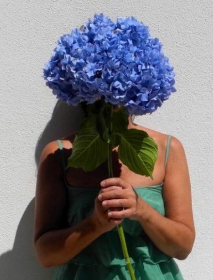 Alfonso de la Fuente Guerrero